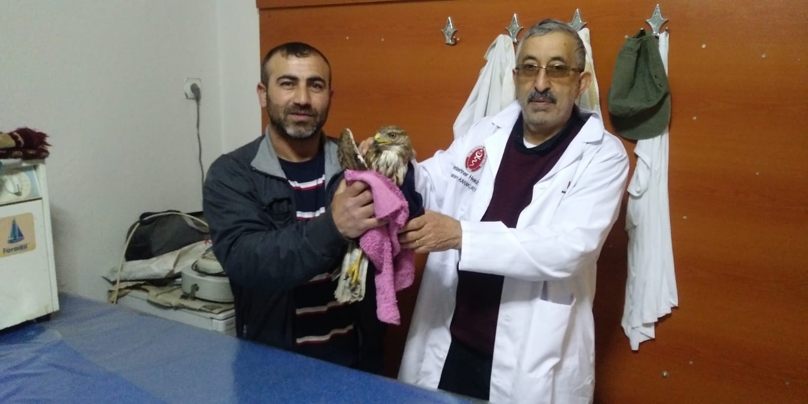 Yaralı halde bulunan şahin tedavi edildi