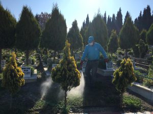Mezarlıklarda Yabancı Otlara Karşı İlaçlama Başladı