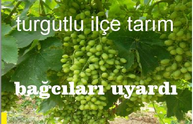 BAĞCILARA DUYURU!!!