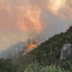 Ahmetli’de orman yangını