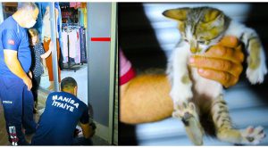 Dış cephe ile duvar arasına sıkışan yavru kedi kurtarıldı
